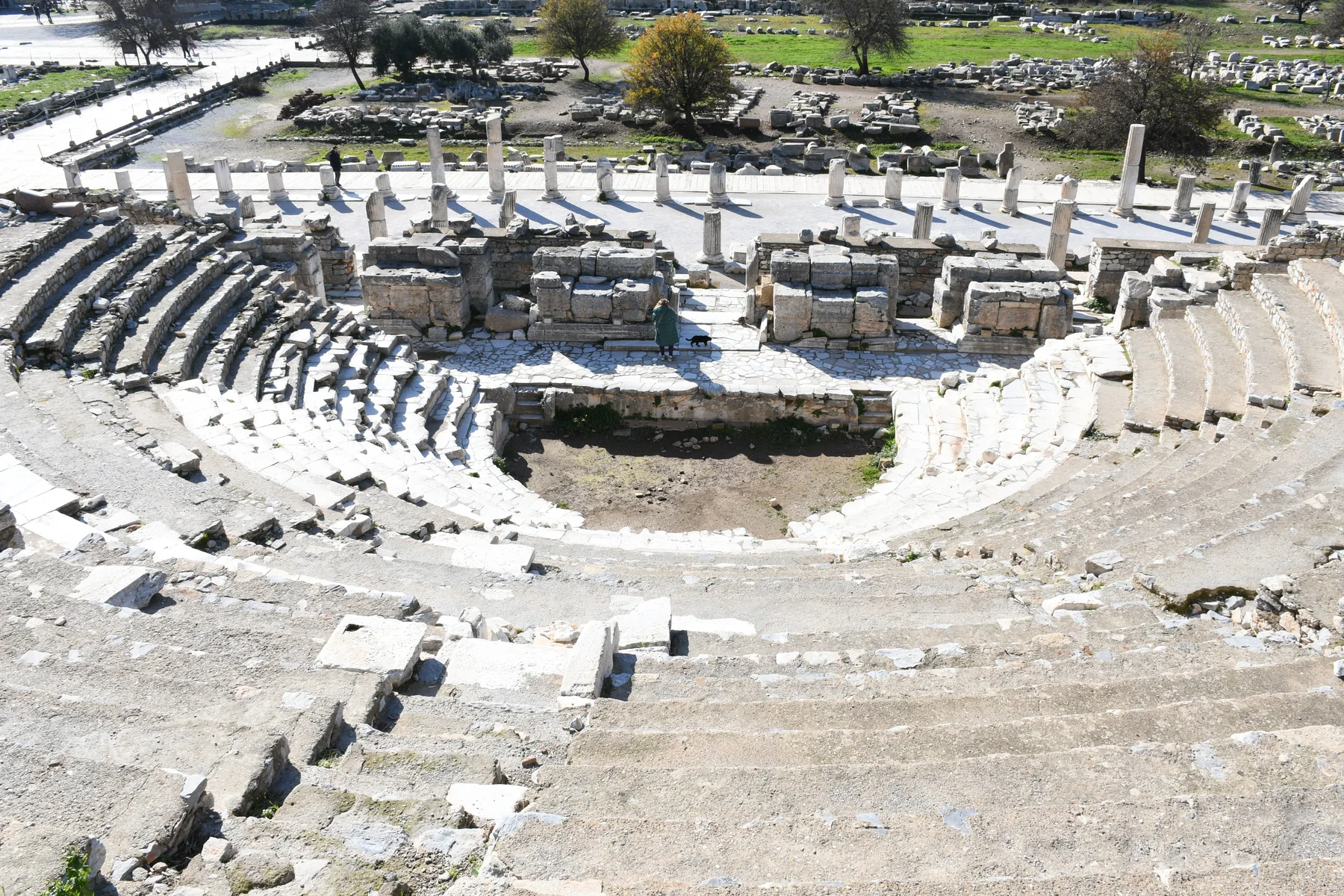 Odeon ephesus ancient city