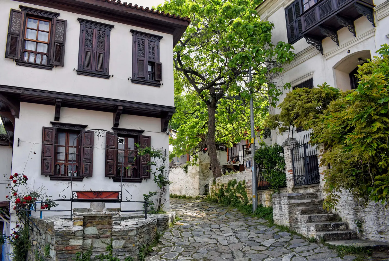 Traditional houses along a stone-paved street in Sirince village